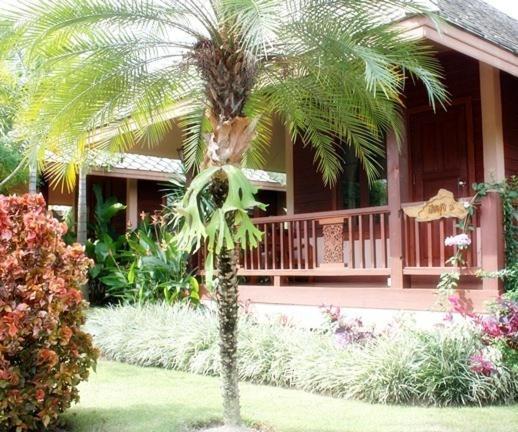 Pai Herbs Resort Room photo